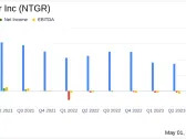 Netgear Inc (NTGR) Q1 2024 Earnings: Misses Analyst Forecasts Amidst Market Challenges