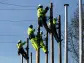 Ministers push back on new telegraph poles after broadband roll-out sparks anger