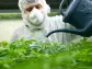 Tilray stock sinks after Q3 revenue miss