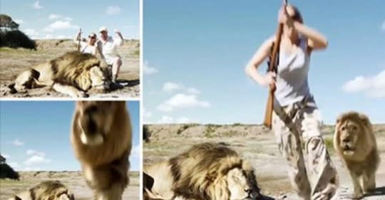 Fake o real? Un león ataca a dos cazadores que han matado a su compañero