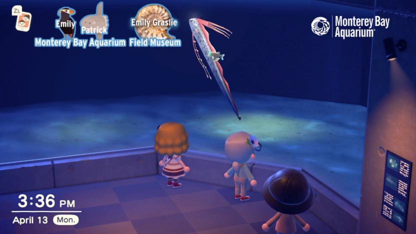 Monterey Bay Aquarium Animal Crossing Streams