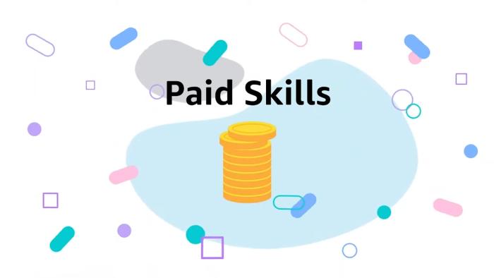 Slide from an Amazon presentation for developers that says "Paid Skills" with colorful patterns surrounding a pile of cartoon coins.