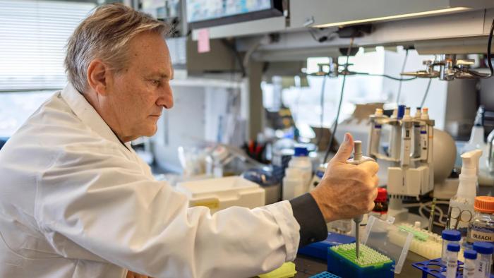 Columbia University professor Andrea Califano, president of CZ Biohub NY, is pictured  in his lab