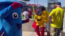 Video: WooSox debut new mascot named Clara