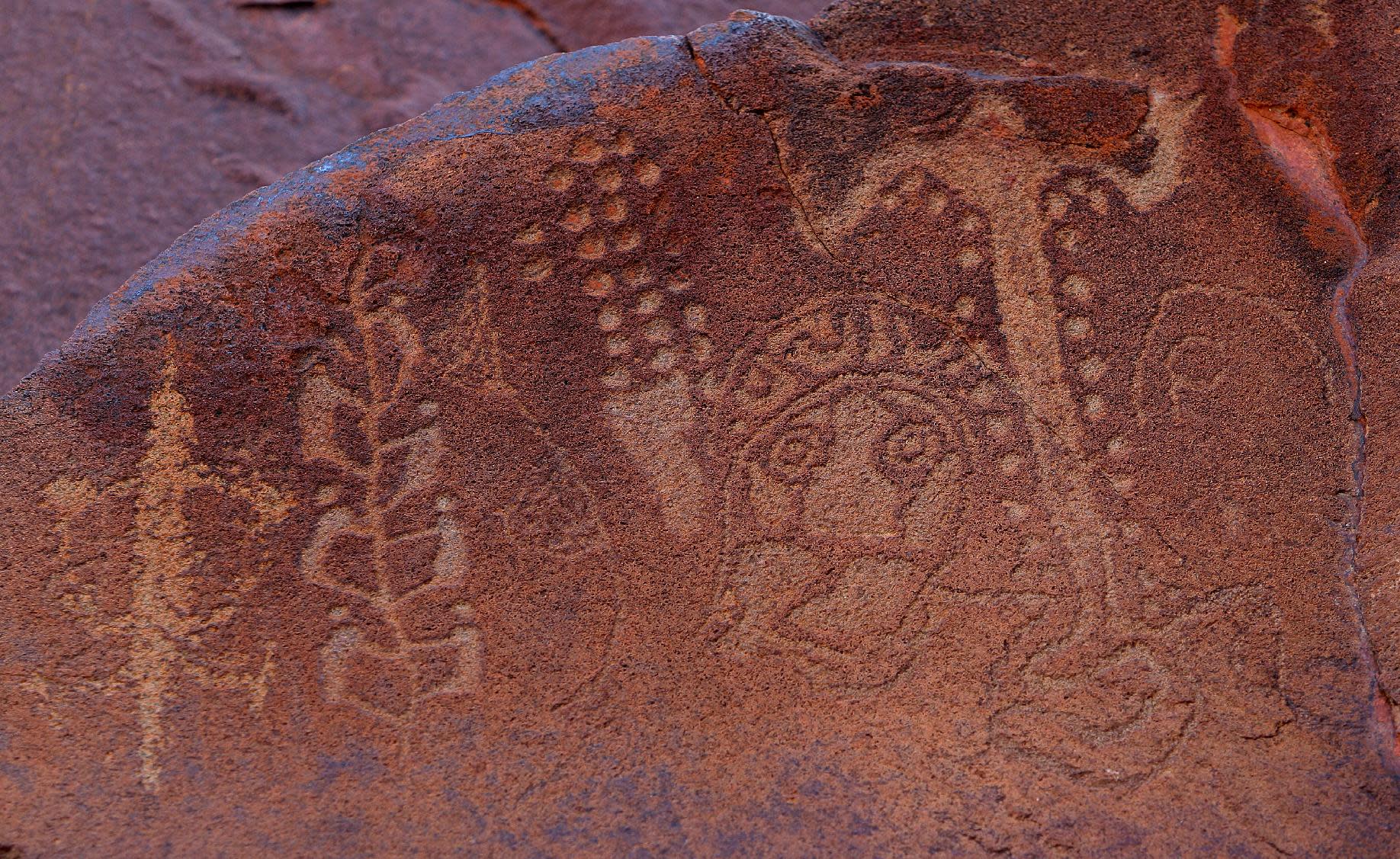 Australia's ancient Aboriginal rock art to be catalogued