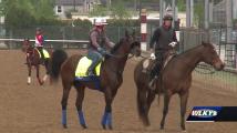 Louisville manufacturer to place bet on Derby horse with same name to benefit nonprofit