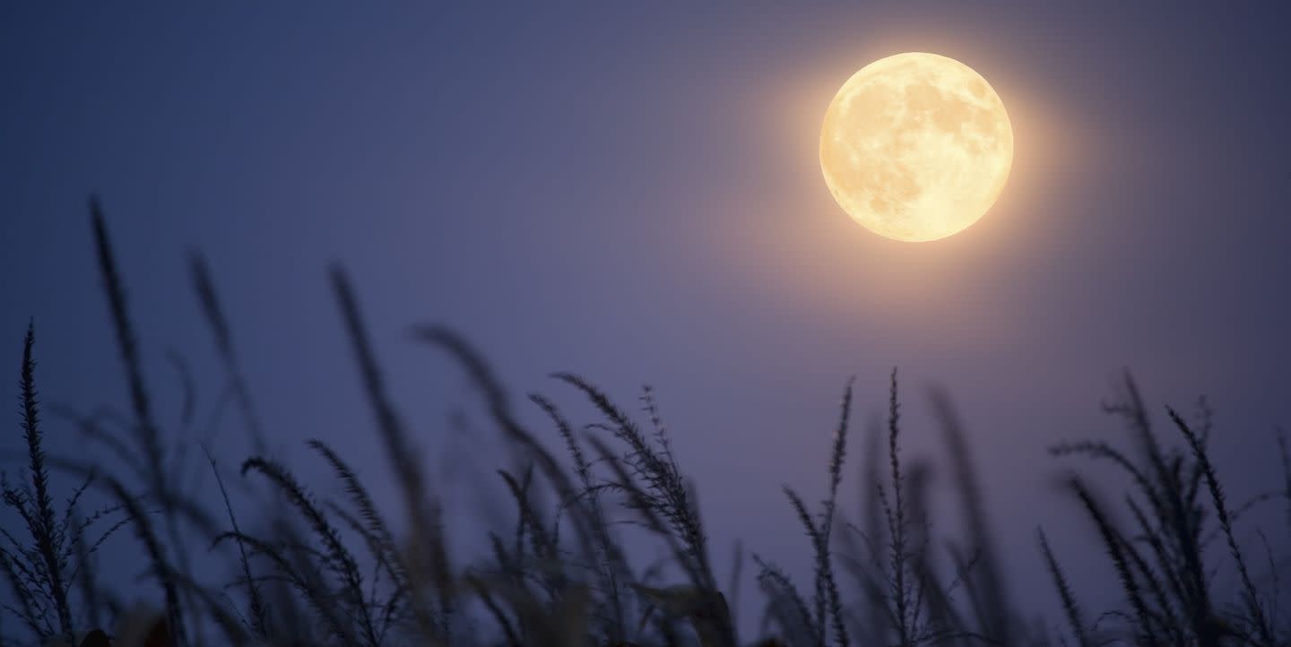 A Rare October Harvest Moon Will Illuminate the Sky This Week
