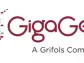 GigaGen Presents IND-Enabling Data and Phase 1 Trial Strategy for its Novel Anti-CTLA-4 Oncology Drug Candidate, GIGA-564, at SITC 2023