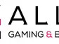 Allied Gaming & Entertainment, Inc. Adopts Limited-Duration Shareholder Rights Plan