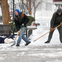 Are our plants safe from Cincinnati's extreme cold temperatures?