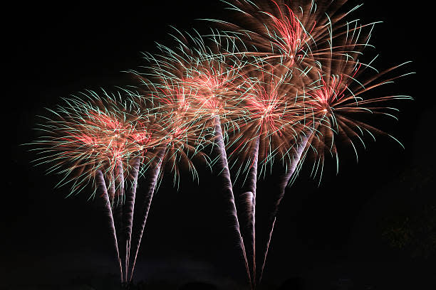 Tours annule son feu d'artifice au bord de la Loire pour protéger les  oiseaux - Le Parisien