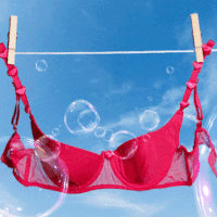 The 13 best push-up bras of 2024 for comfort and lift