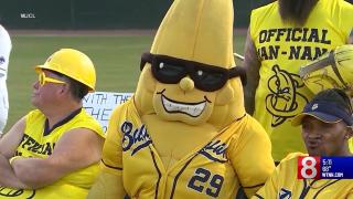 Brockton goes bananas for sold-out Savannah Bananas game 