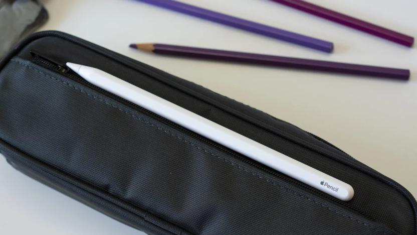 The Apple Pencil (2nd gen) stylus for iPads.