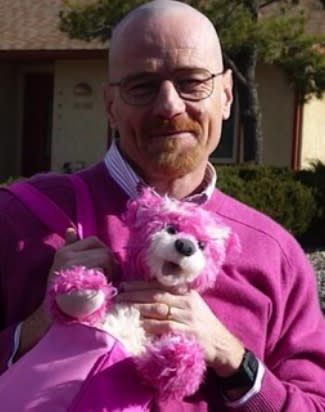 breaking bad pink