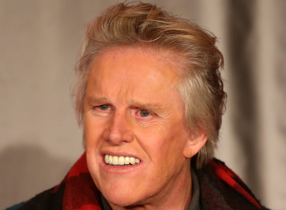 Gary Busey surpris en train de baisser son pantalon en public après avoir été accusé d’infractions sexuelles