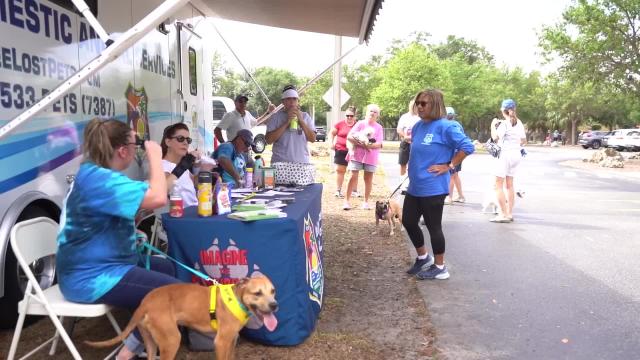 Lee County Domestic Animal Services hosts field day for dogs