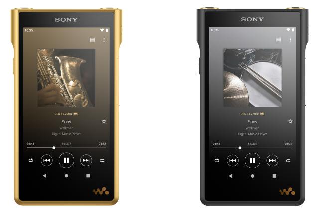 Sony Walkman NW-WM1ZM2 and NW-WM1AM2