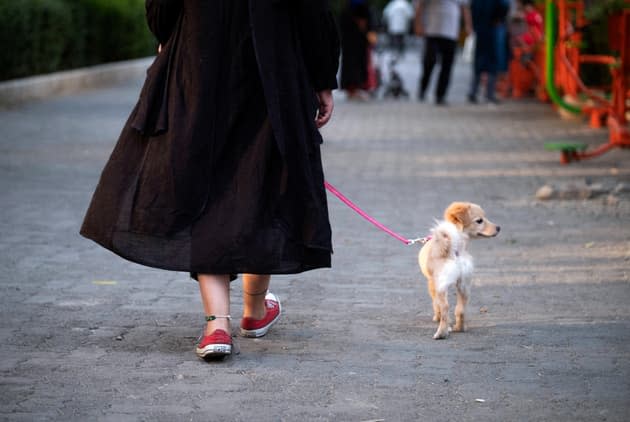 In Iran, owning a pet could soon be banned by law