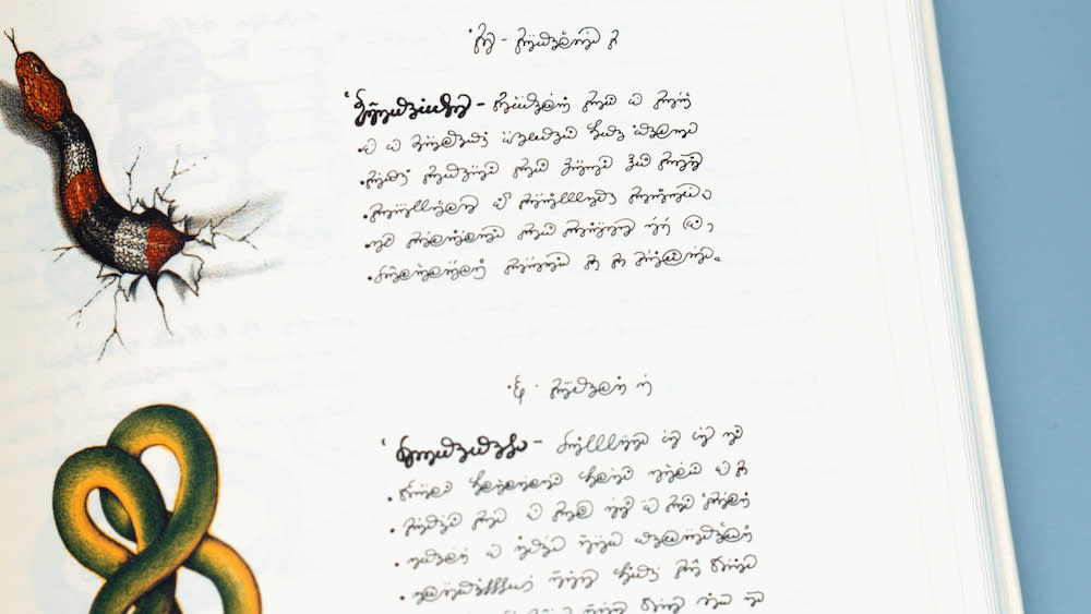 Deciphering the Dark Secrets of Codex Seraphinianus