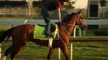 150th Kentucky Derby preview: Mystik Dan