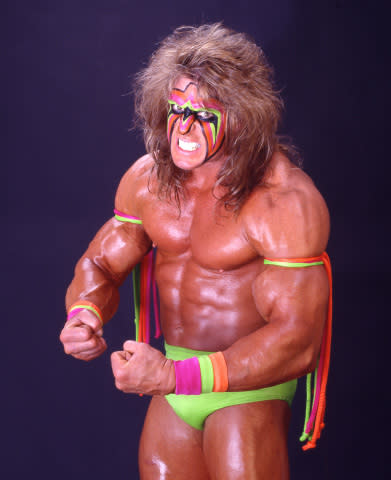 dana hellwig married ultimate warrior