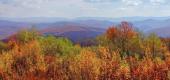 West Virginia. (Getty Images)