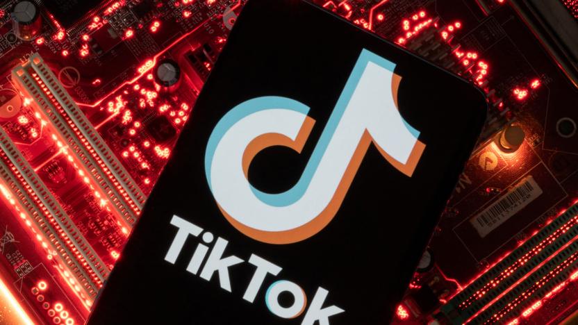 A smartphone with a displayed TikTok logo is placed on a computer motherboard in this illustration taken February 23, 2023. REUTERS/Dado Ruvic/Illustration