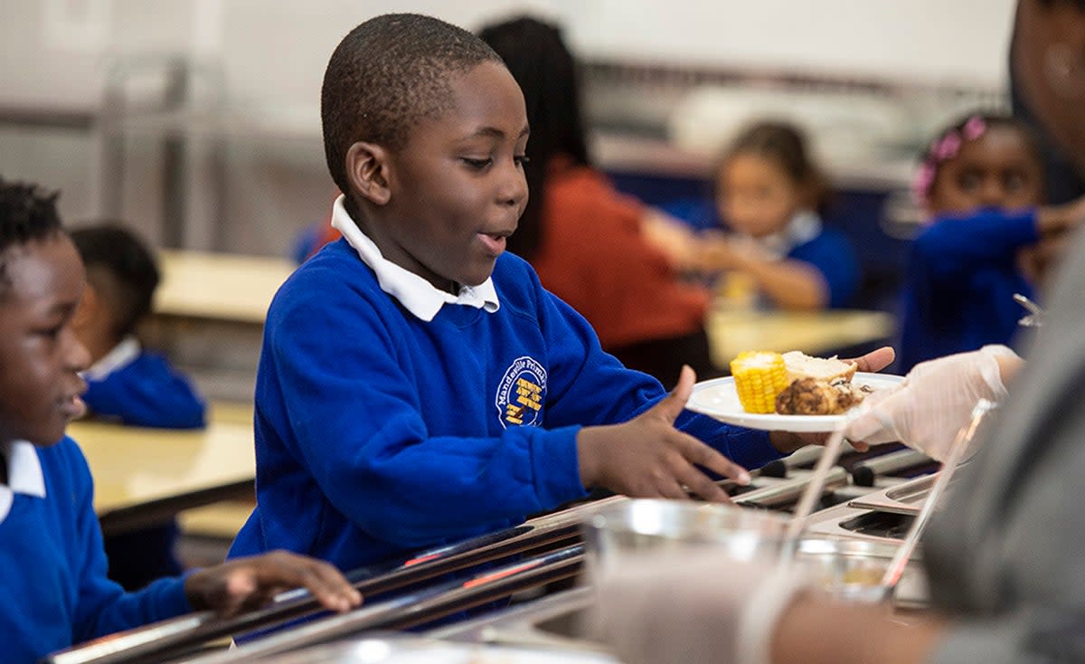 Le chef de la santé des enfants demande des repas scolaires gratuits pour tous afin de mettre fin à la pauvreté alimentaire « dérangeante »