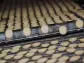 Biscuit maker Britannia's profit climbs 36% on packaged foods demand