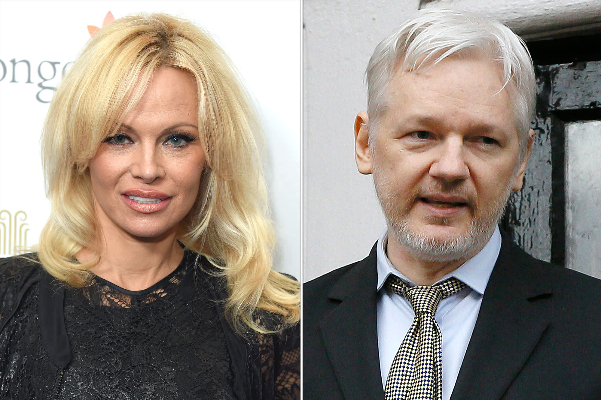 Is Pamela Anderson Dating WikiLeaks Founder Julian Assange?