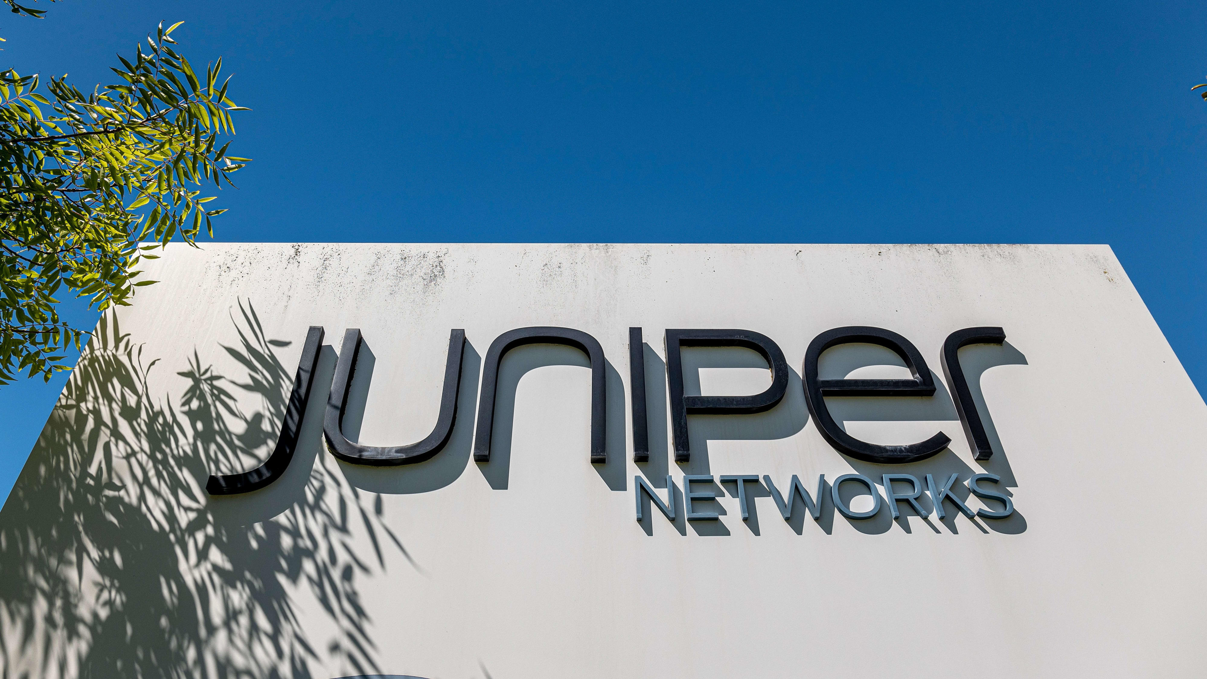 Growth driven by AI innovation in market: Juniper Networks CEO