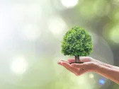 13 Best Environmental Dividend Stocks To Invest In According To Analysts