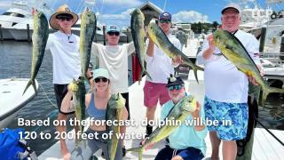 Rock Hill fishermen catch record-breaking catfish in Catawba River
