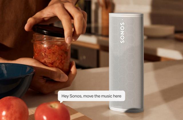 Sonos Voice Control 