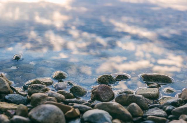 Pebbles at the edge of some water.