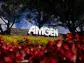 Amgen soars as CEO gives update on experimental obesity drug