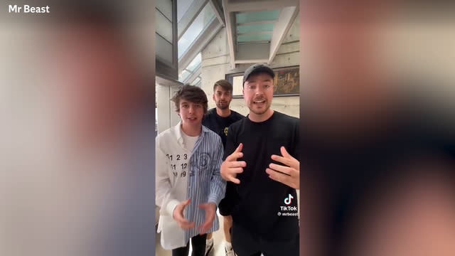 MR. MR. BEAST TIKTOK MEMES 