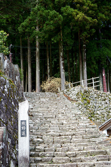 和歌山必游景点!熊野那智大社、青岸渡寺、那