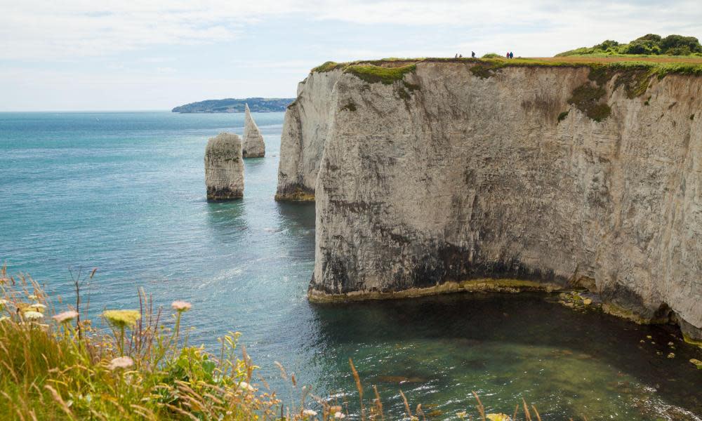 Country diary: A sea-view of house martins in their ancestral home