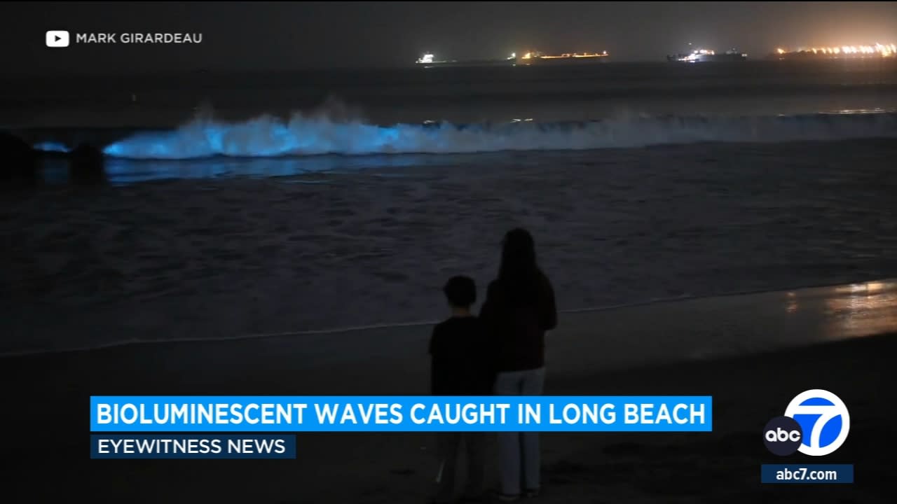 Video Beachgoers frolic in electric blue bioluminescent water