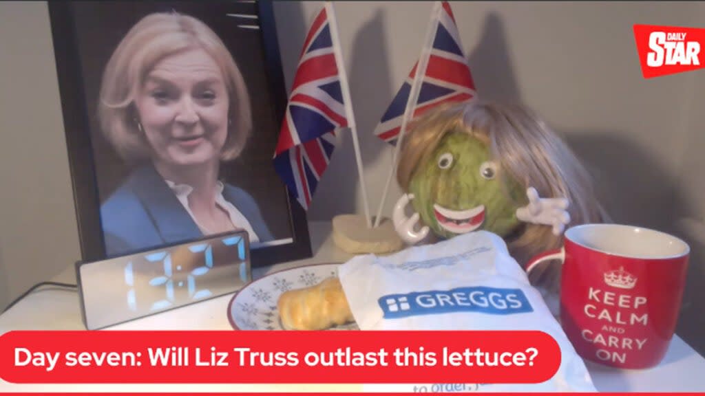 Lettuce Outlasts Uk Prime Minister Liz Truss In Viral Daily Star Video 