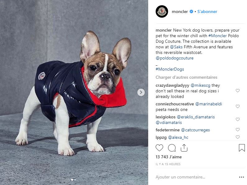 saks moncler dog