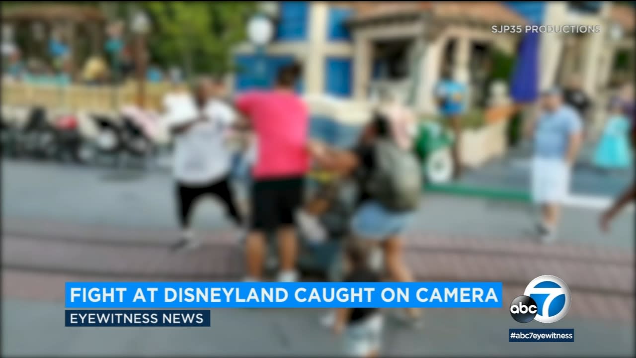 Police Investigate Disneyland Brawl After Video Surfaces - disneyland brawl world star