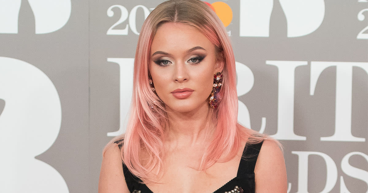 Zara Larsson has spoken out against YouTube after her video was blocked  under the LGBTQ restrictions