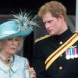 Queen Camilla: why the royal title change matters