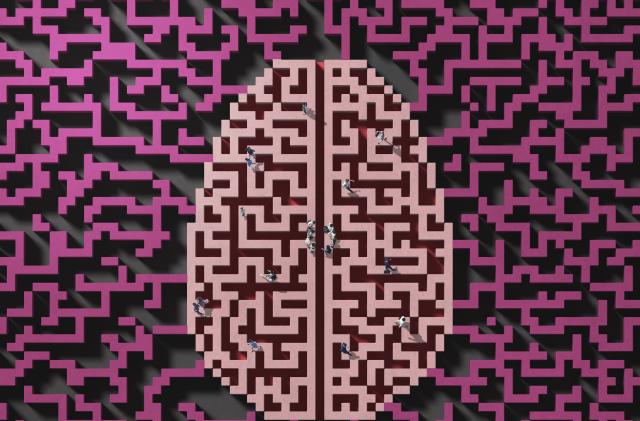People walking in a  maze shaped as a brain