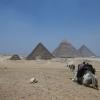 Autorizzate nuove ricerche a Luxor per ritrovare mummia Nefertiti