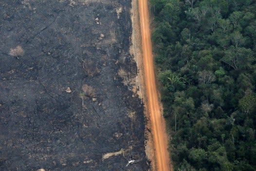 Brazil&#39;s Amazon deforestation at highest rate in 11 years, country&#39;s space agency says