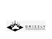 Grizzly Appoints V. Richard Rabbito to the Board of Directors